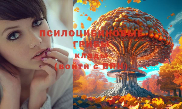 герыч Верея